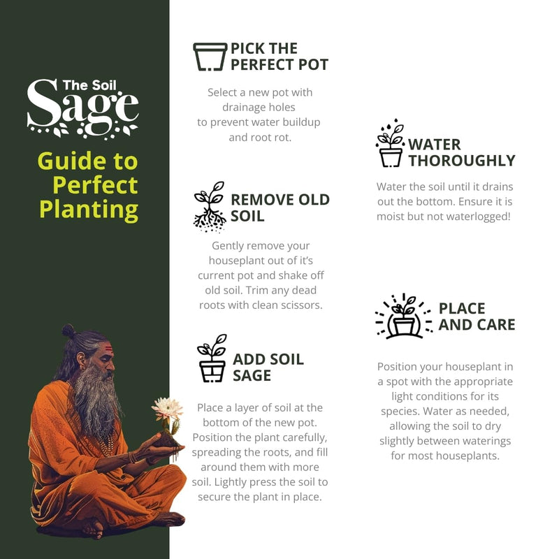 Soil Sage Houseplant Soil - Well-Draining Potting Mix for Indoor Plants - Coconut Coir, Composted Bark, Pumice & Mycorrhizae for Strong Roots & Growth - Made in U.S.A.