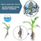 Fish Head Farms Organic Soil Conditioner 5Liter Organic Fertilizer for Increased Yield and Flavor - Plant Fertilizer, Plant Nutrients for Soil, Soilless, Hydroponic Farming - Garden Fertilizer