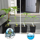 Fish Head Farms Organic Soil Conditioner - Organic Fertilizer for Increased Yield and Flavor - Plant Fertilizer, Plant Nutrients for Soil, Soilless, Hydroponic Farming - Garden Fertilizer - 10L