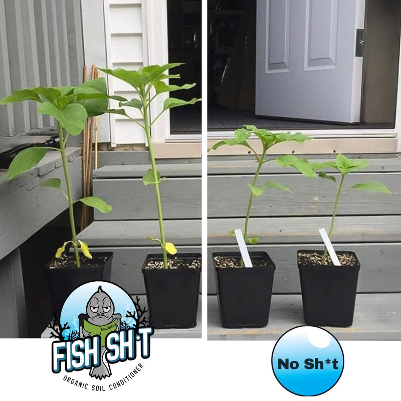 Fish Head Farms Organic Soil Conditioner - Organic Fertilizer for Increased Yield and Flavor - Plant Fertilizer, Plant Nutrients for Soil, Soilless, Hydroponic Farming - Garden Fertilizer - 10L